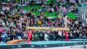 grand prix della ginnastica 0435 sfe08380 copia simone ferraro ph